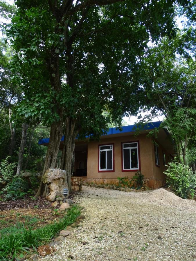 The Flycatcher Inn Retreat Hotel Santa Elena Exterior foto