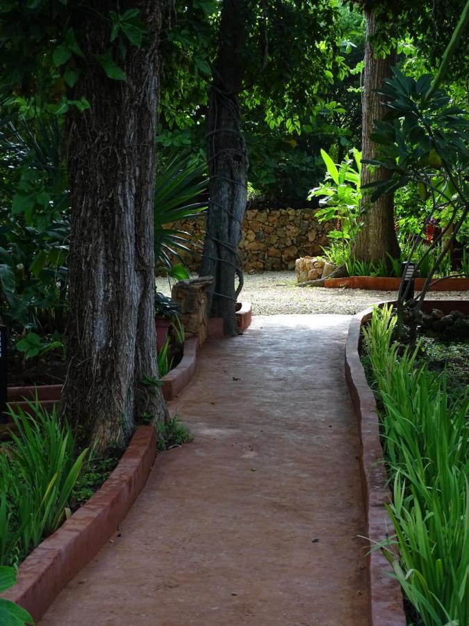The Flycatcher Inn Retreat Hotel Santa Elena Exterior foto